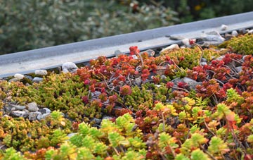 the cost of Baile Ailein green roof installation