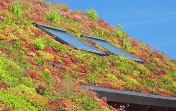 Baile Ailein living roof systems
